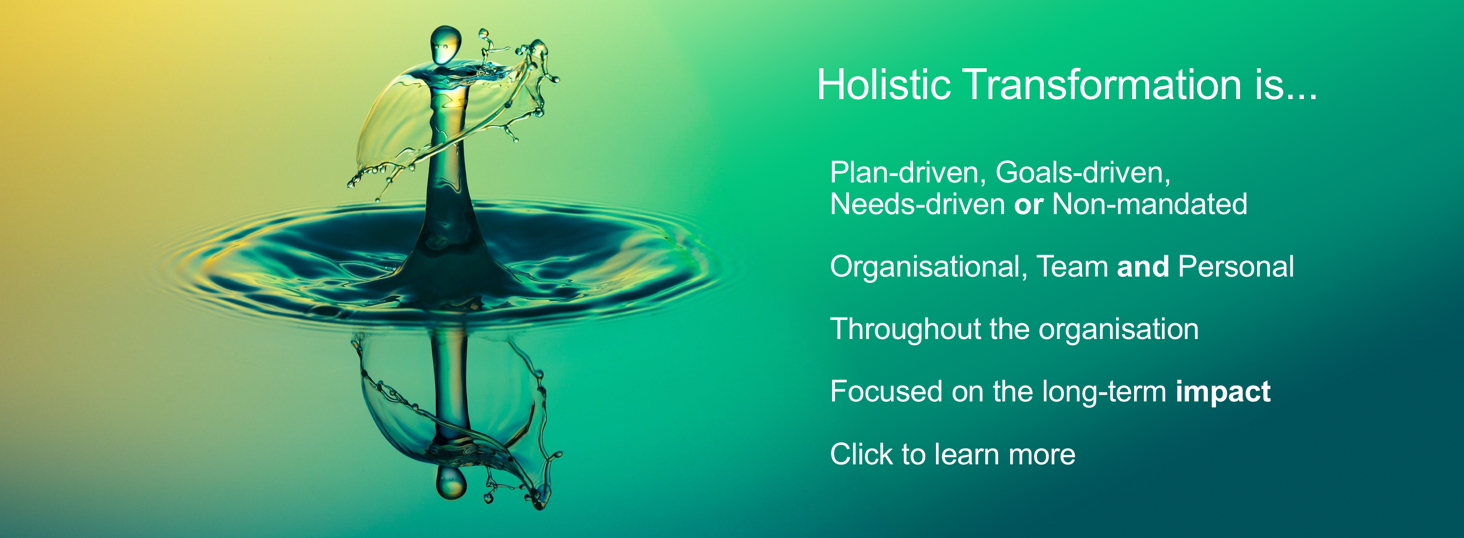 Plan-driven, Goals-driven,  Needs-driven or Non-mandated. Organisational, Team, Personal . Throughout the organisation . Focused on the long-term impact